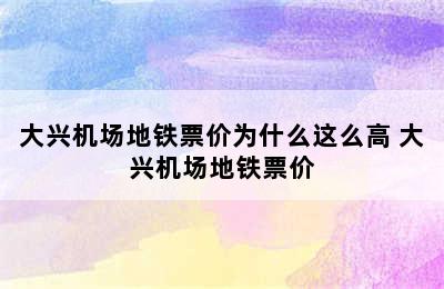 大兴机场地铁票价为什么这么高 大兴机场地铁票价